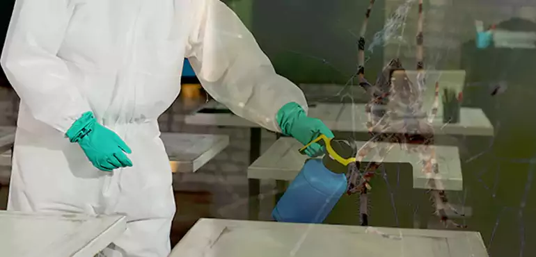 Why Buyers Still Want Homes With Pest Infestations in Columbus, OH?