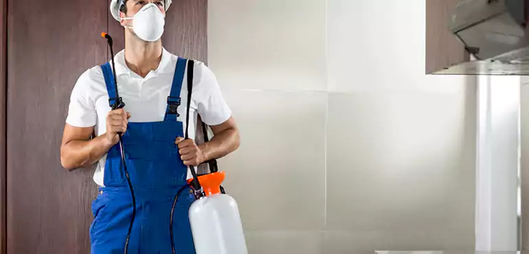 Why Columbus Homeowners Choose Us When Pests Make Selling Difficult