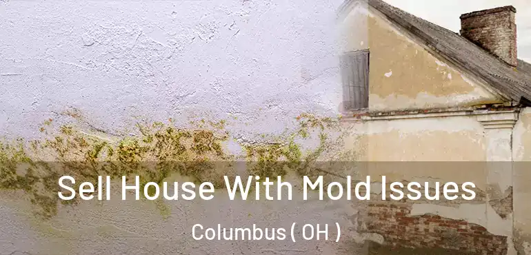 Sell House With Mold Issues Columbus ( OH )